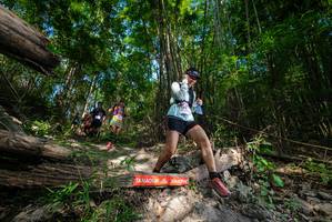 BIB: 
                            <button type="button" onclick="openModal(19387985)" class="btn btn-primary btn-sm float-right btn-popup" data-toggle="modal" data-target=".modal-high-quality">
                        <i class="fas fa-shopping-cart"></i> Add to Cart
                    </button>
                                            <button type="button" onclick="isThisMe(19387985, true)" class="btn btn-success btn-sm float-right btn-popup btn-isme hidden" data-toggle="tooltip" data-placement="bottom" title="นี่คือรูปของคุณใช่ไหม คลิกที่นี่เพื่อเอาเข้าอัลบั้ม">
                        <i class="fas fa-plus"></i> Add to album
                    </button>
                    <button type="button" onclick="isThisMe(19387985, false)" class="btn btn-warning btn-sm float-right btn-popup btn-isnotme hidden">
                        <i class="fas fa-ban"></i> Remove from album
                    </button>